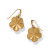Brighton Trust Your Journey Flower Earrings JA0266